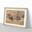 Gamecocks by Katsushika Hokusai - Picture Frame Painting Print-55578726-55578727
