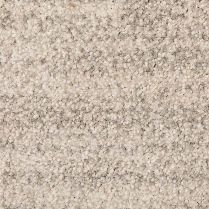 Radke Uniform Color Area Rug, Rectangle 200 x 290cm