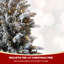 Frosted White LED Light Up Christmas Tree SX3601-611531709