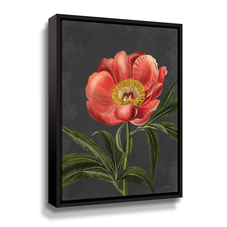 Winston Porter Peony Framed On Canvas Painting | Wayfair