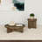 Round Solid Mango Wood End Table