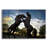 " Stallions " by SD Smart-900146318