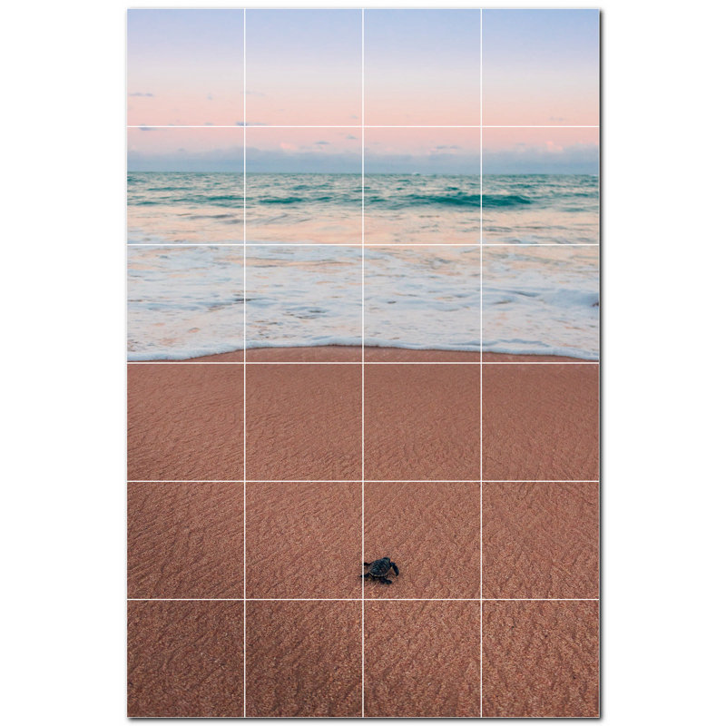 12 x 12