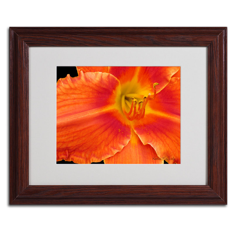 « orange day lily » par kathie mccurdy,, reproduction de photo encadrée, H 11 po x l 14 po x P 0,5 po, Brun - Biseautée