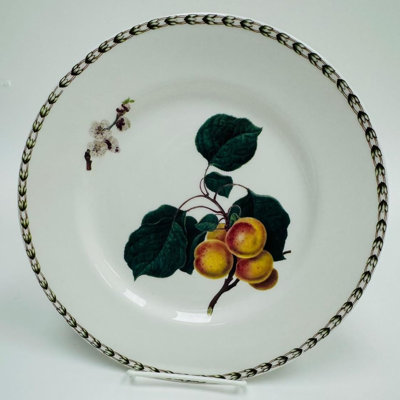 Assiette en porcelaine 10,75 "avec décor, Art rétro de la société horticole par Hooker