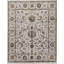 Chantel Oriental Area Rug in Ivory-106954261