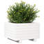 Wood Planter Box-104931191-108200357