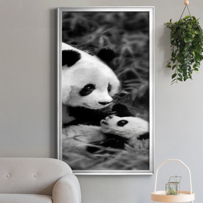 " Panda Play "