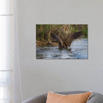 Bold and Beautiful 1 Piece Wrapped Canvas Wall Art