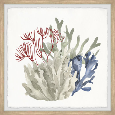 Seaweed Bloom - Single Picture Frame Print