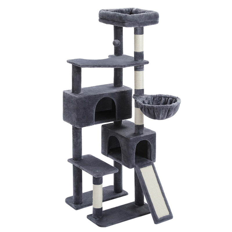 Grand arbre à chat, gris