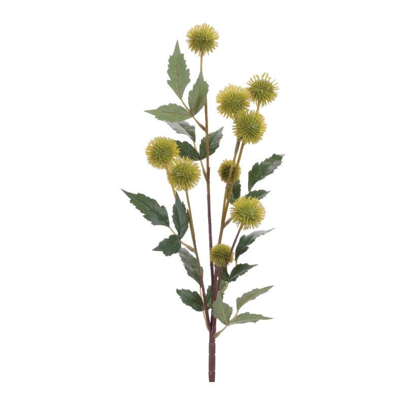 Branches vertes en fausse gousse