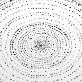 Polka Dot Peel & Stick Wallpaper by Jamie Graney