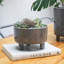 Ceramic Cachepot-597237449
