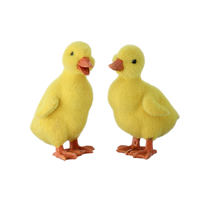 Canard 5 po