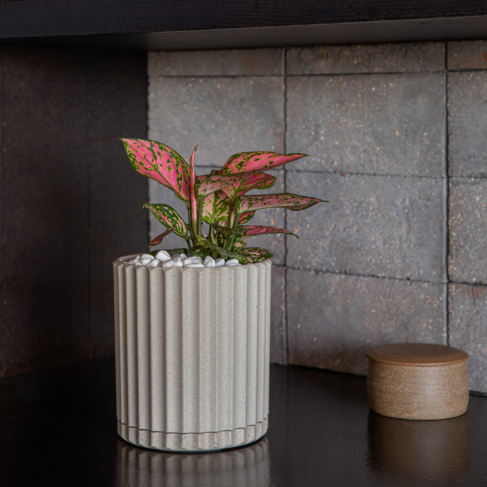 Demi Series 6" Pot Planter, Sand, 2