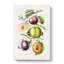Illustration of Prunes - Wrapped Canvas-55304594