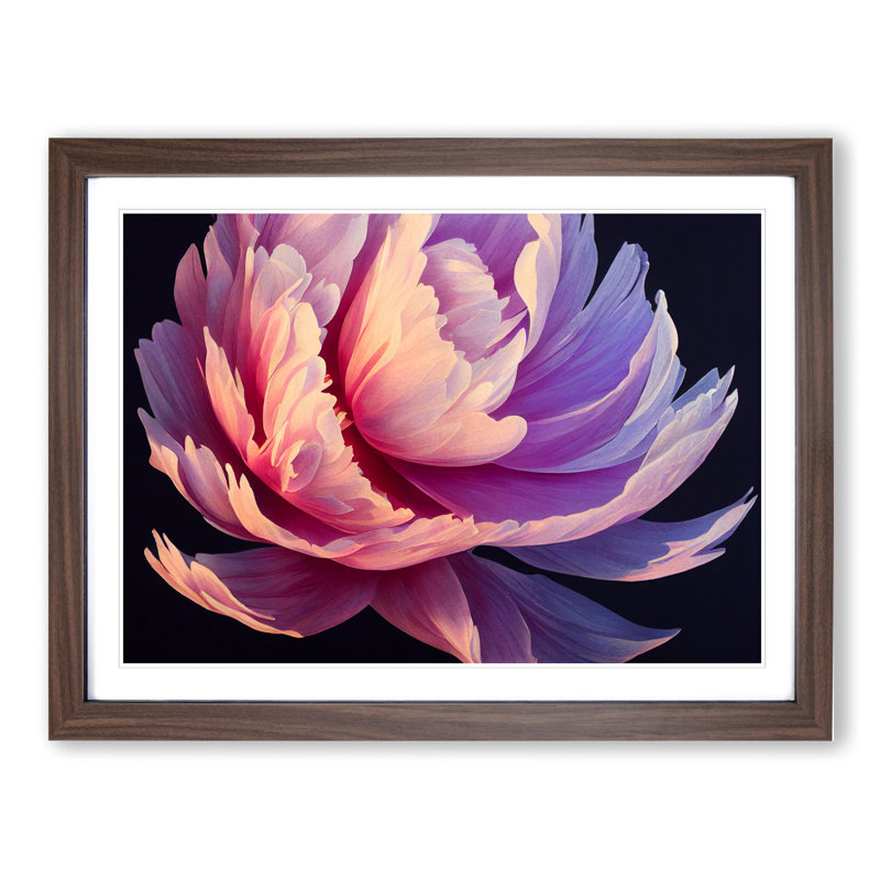 Incredible Peony Flower - Single Picture Frame Print, Walnut, 46cm H x 64cm W x 2cm D