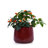 4 Pieces Ceramic Planter Pot, Modern Indoor Outdoor Flowerpot for Patio, Garden, or Windowsills-525648463