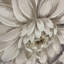 White Flower - Wrapped Canvas Print