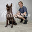 Dog German Shepherd Bronze Garden Statue