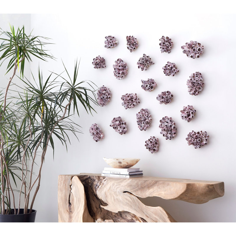 Barnacle 3 Piece Wall Décor Set, 7" H x 12" W x 12" D