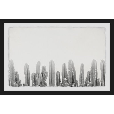 Cacti Splendor - Print on Canvas