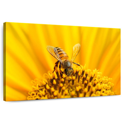 Harnek tournesol avec abeille