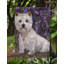 Drapeau de jardin en polyester à 2 côtés Graziello Bichon Frise Do It Better 1 x 0,11 pi-1923144915