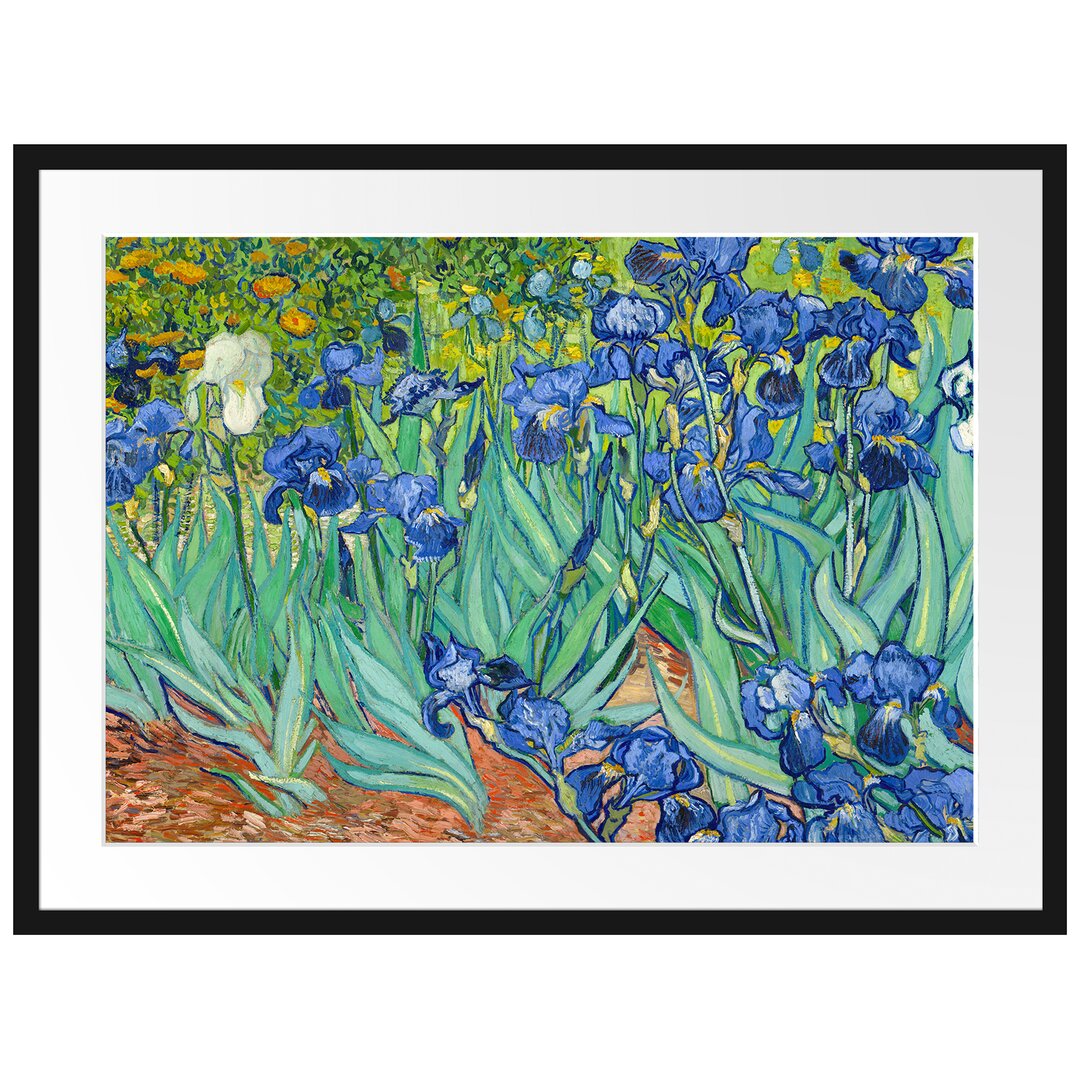 Gerahmter Kunstdruck Irises von Vincent Van Gogh