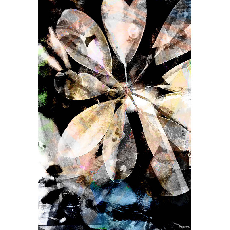 Parvez Taj - Wrapped Canvas Print, 114cm H x 76cm W
