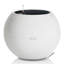Pot Planter-332018649-393093552