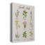 Toile tendue avec châssis de qualité supérieure Garden Herbs - prête à être accrochée-1219030514