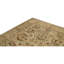 Wool Oriental Area Rug
