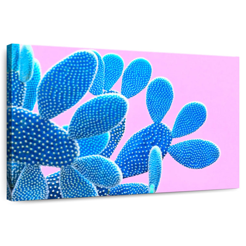 Cactus bleu Harnek, H 32 po x l 48 po