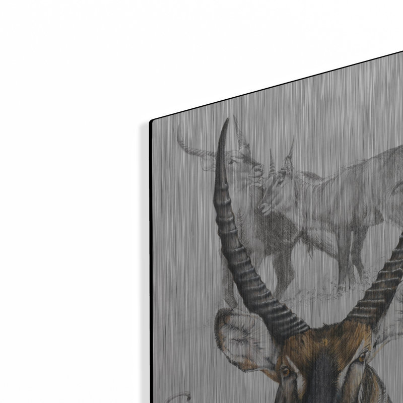 «Waterbuck» par Barbara Keith, H 24 po x l 16 po