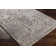 Shokan Oriental Indoor Rug