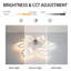 Armentha 65cm Ceiling Fan with LED Lights-1096532149