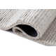 Danberry Area Rug in Light Gray
