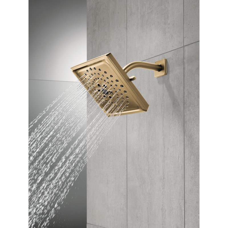 Rain Adjustable Shower Head with H2Okinetic Technology, Champagne Bronze