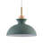 1 - Light Single Pendant-872087962