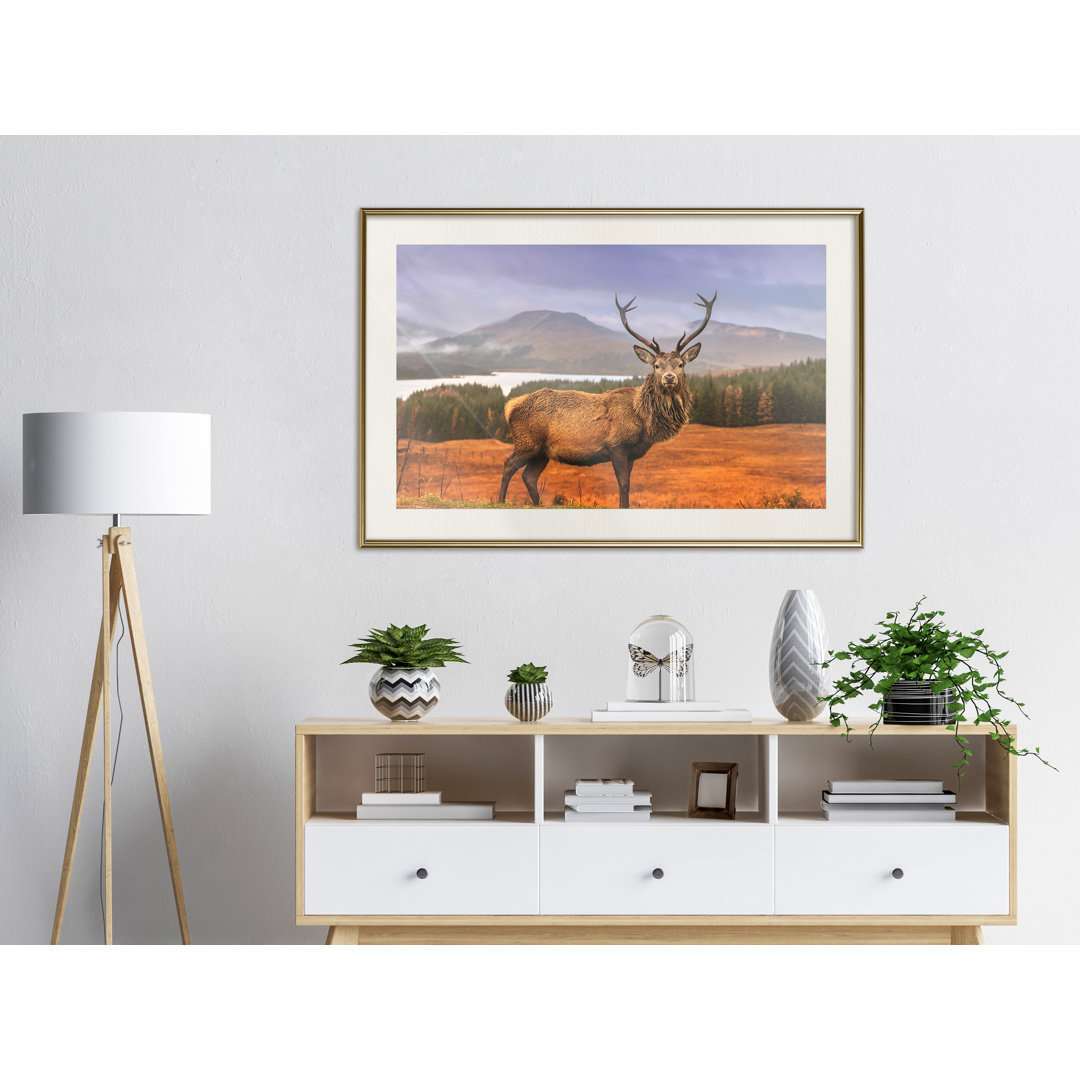 Gerahmter Fotodruck Majestic Deer