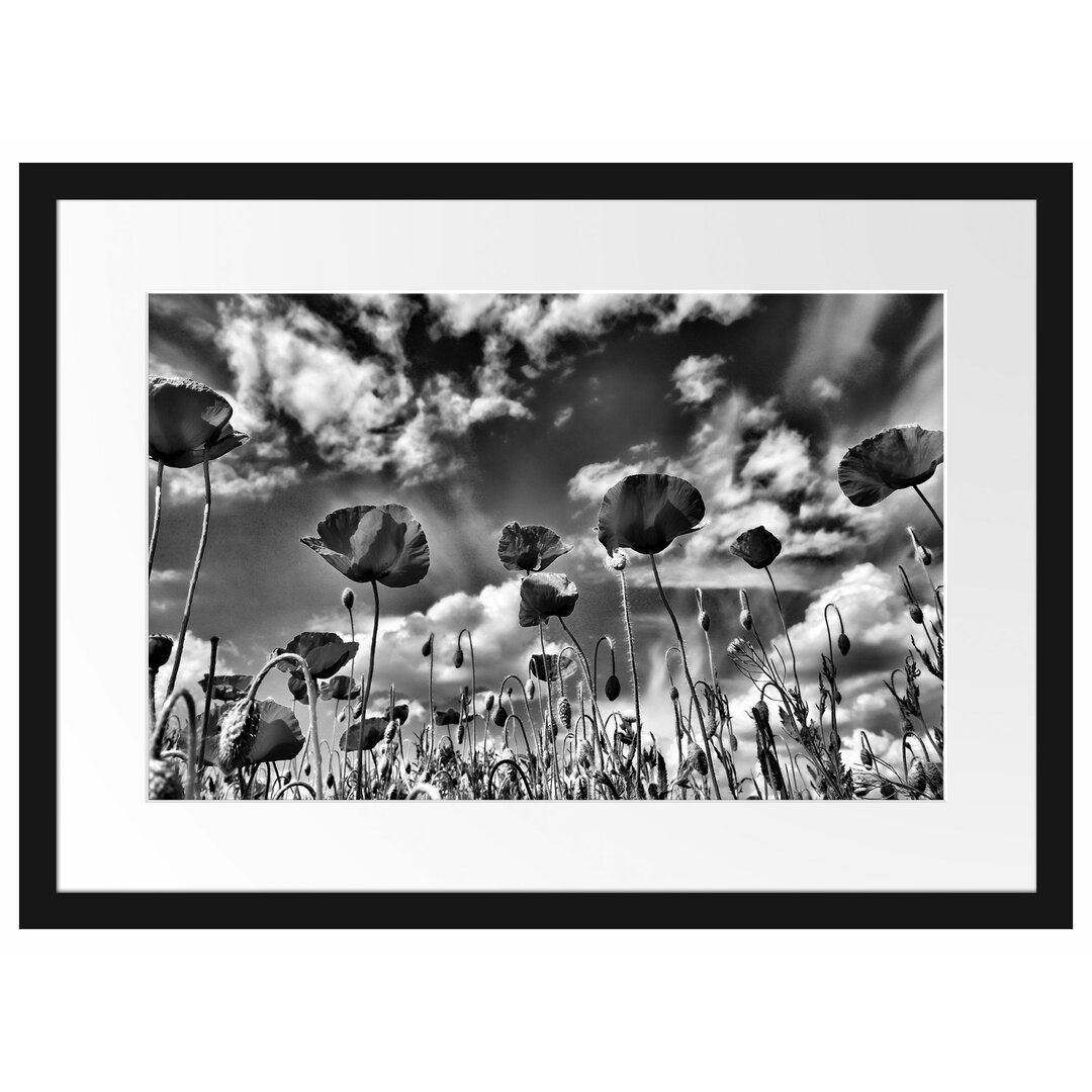 Gerahmtes Poster Wiese mit Blumen