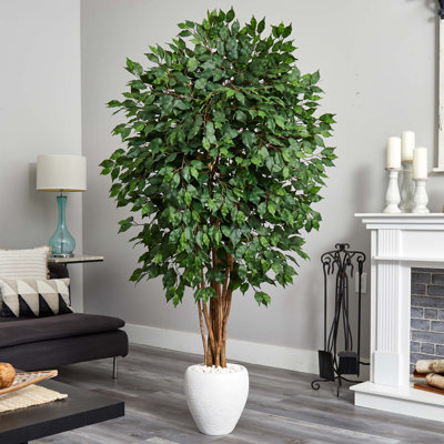 72'' Faux Ficus Tree in Ceramic Planter