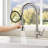 Cobbe Pull Down Kitchen Faucet-101409849