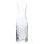 Newport Twist Crystal Carafe