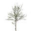 Topiaire en faux thym 29 po en pot
