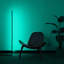 Lampe DEL sur pied 55 po Denada-957741749