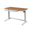 Tabukiniberu Adjustable Metal Base Standing Desk-250307907