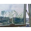 Eucalyptus Window Decal